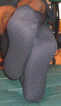 1987B_PFBLK279-1013-O_xd_bot.jpg (265222 bytes)